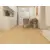 Panele winylowe WENINGER AQUATUS SPC 5mm - Dąb Prato + KOD RABATOWY